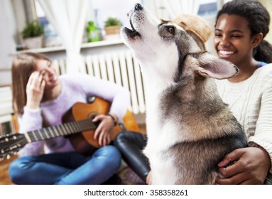 Dog at home, with his friends.
Multi ethnic young girls playing with Siberian Husky, at living room