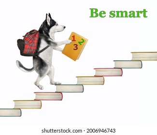 A Dog Husky With A Backpack And A Textbook Is Going Up The Stairs Made Of Books. Be Smart. White Background. Isolated.