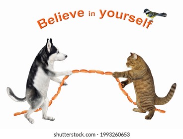 A Dog Husky And A Beige Cat Are Playing In Tug Of War. They Pull A Sausage. Believe In Yourself. White Background. Isolated.