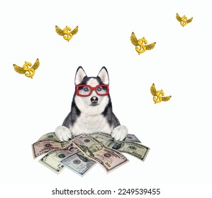 A dog husky businessman sits near a heap of dollars. White background. Isolated. - Shutterstock ID 2249539455
