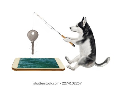 A dog husky caught a key from a mobile phone using a fishing rod. White background. Isolated. - Shutterstock ID 2274102257