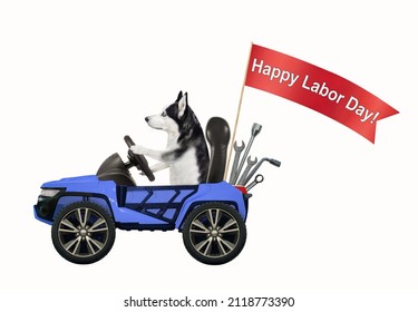 A dog husky drives a car in the trunk of which there are wrenches and a flag with happy labor day. White background. Isolated.