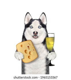 A dog husky holds a glass of wine and a piece of cheese with holes. White background. Isolated.