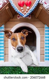 Dog Inside A Bavarian House Or Beer Tent