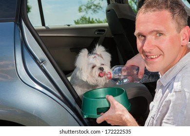 Dog Inside A Car Drinking Water From His Owner