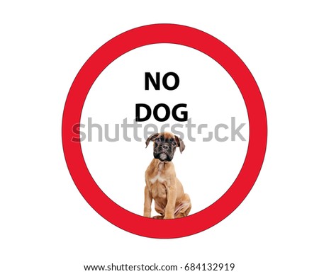 Dog interdiction