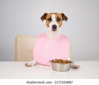 Dog Jack Russell Terrier At The Dinner Table In A Pink Bib. 