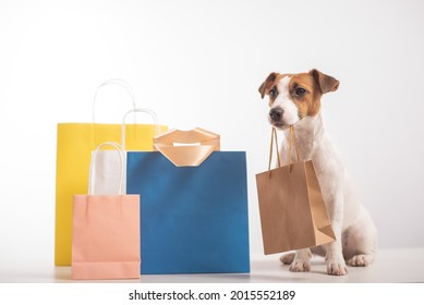 Dog jack russell terrier sitting next to different paper bags and holding a craft bag in its mouth on a white background. Sale season.