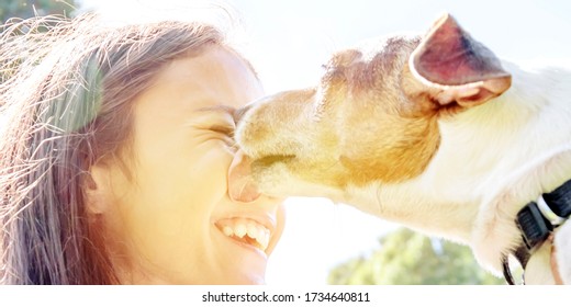 Dog Jack Russell Terrier With Tongue Licking Face Of Girl Owner Closeup