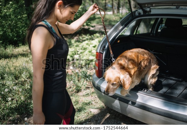 Dog jumping from trunk while girl\
is holding his leash. Blurred girl standing in front of opened\
trunk and holding dog leash while dog is jumping from\
car..