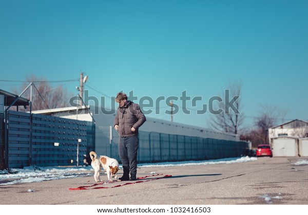 The dog\
jumps on the owner and is impatient to receive the reward, the dog\
is playing with his master in parking, the dog is happy, \
the\
master feeds his dog, the puppy stays in two\
paws