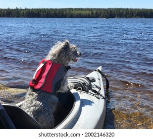 Dog In Kayak Wearing Doggie Life Preserver On Lake In Summer