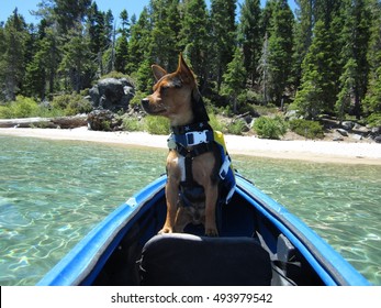 Dog Kayaking On Lake Tahoe