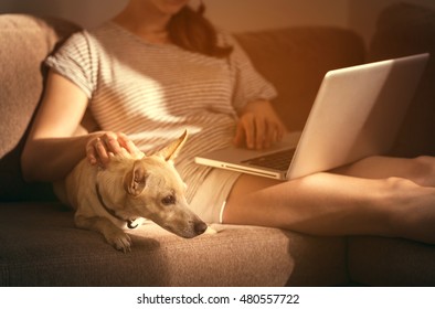 Dog Keep Watch On Lady At Home Sitting On The Sofa And Writing On Laptop.