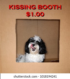 Dog In A Kissing Booth