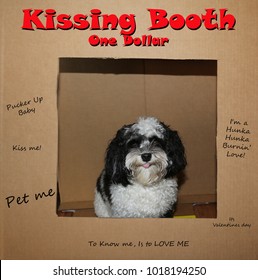 Dog In A Kissing Booth