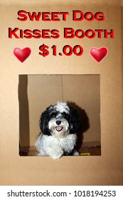 Dog In A Kissing Booth