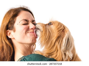 Dog Kissing Her Owner