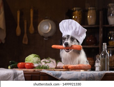 Dog In The Kitchen With Vegetables. Nutrition For Animals, Natural Food. Border Collie In Cooking Hat