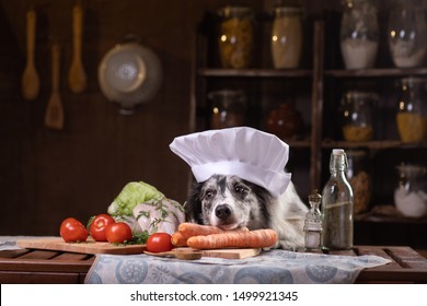 30,769 Chef animal Images, Stock Photos & Vectors | Shutterstock