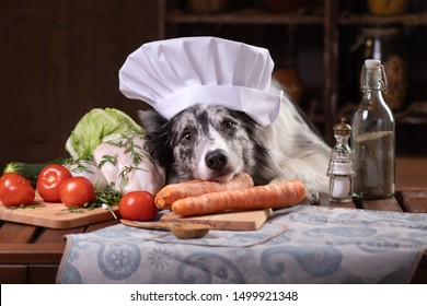 Dog In The Kitchen With Vegetables. Nutrition For Animals, Natural Food. Border Collie In Cooking Hat