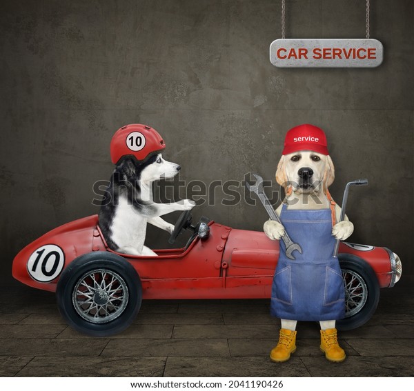A dog labrador auto mechanic\
with wrenches is fixing red sports car. White background.\
Isolated.