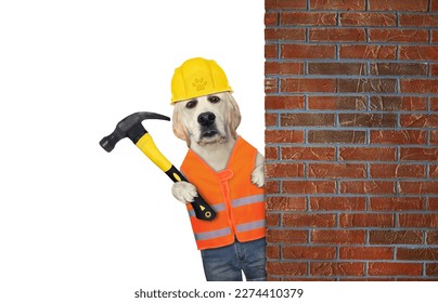 A dog labrador builder with a hammer is near a brick wall. White background. Isolated. - Shutterstock ID 2274410379