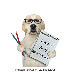 A dog labrador holds a notepad with text that says 1 year = 365 opportunities. White background. Isolated. - Shutterstock ID 2258162305