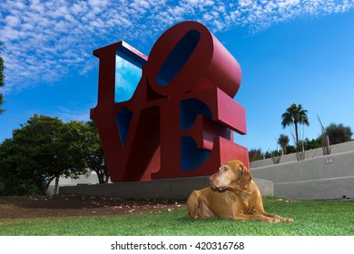 Dog Laying At The Love Statue In Scottsdale Arizona