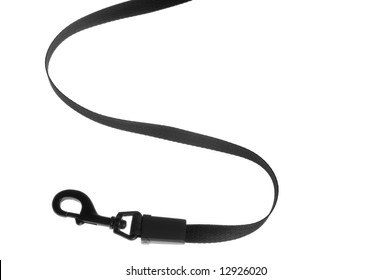 Dog Lead