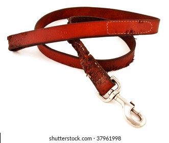 Dog Leash Chewed By A Puppy Isolated On White.