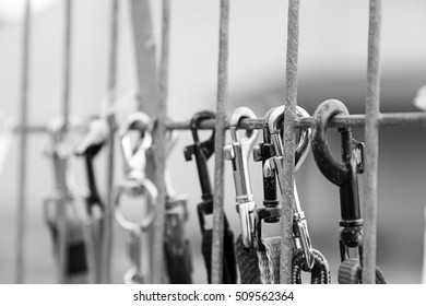 Dog Leashes Hanging Metal Door, Animals And Objects