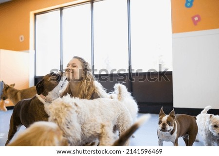 Dog licking womans face at dog daycare