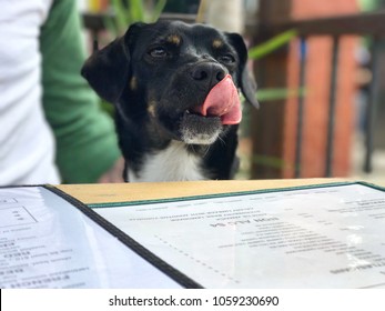 Dog Licks Chops At Restaurant