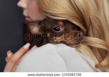the dog lies on the shoulder of the hostess                       