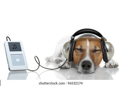 Dog Listen To Music With A Music Player