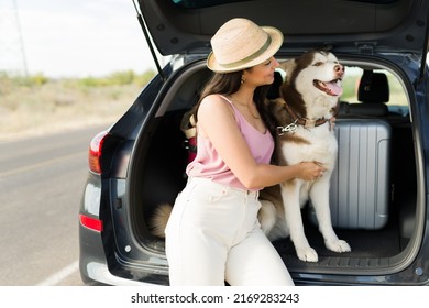 Dog lover. Gorgeous hispanic woman hugging her husky dog while sitting on the car trunk during a road trip - Powered by Shutterstock