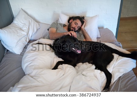 Dog lying in bed with owner, getting stroked and scratched, loving friendship companionship best friend