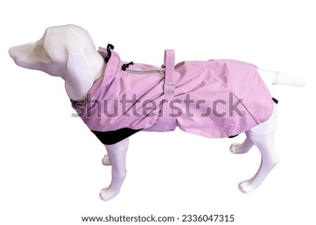 dog mannequin, plastic dog mannequin in a harness