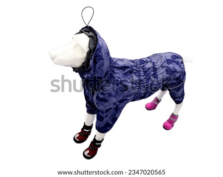 dog mannequin, plastic dog mannequin in harness, in clothes, on a white background