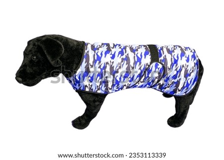 Dog mannequin, plastic dog mannequin in a harness, in clothes, on a white background, a cooling raincoat, the animal did not overheat, did not receive sunstroke