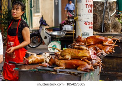 244 Vietnam Hanoi Dog Images, Stock Photos & Vectors | Shutterstock