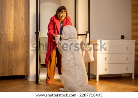 Dog meets its owner at the doorway of living room at home. Concept of a happy homecoming when your pets are waiting for you