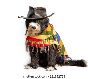 Dog With Mexican Sombrero And Poncho