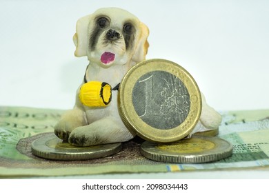 Dog With Money And Euro Coin