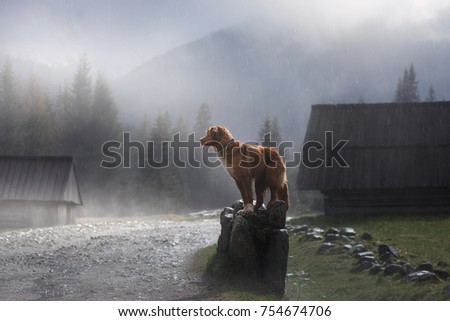 Similar – Foto Bild Unterwegs im Hochgebirge