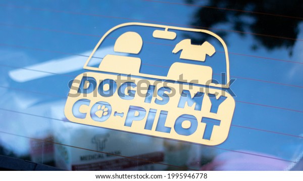 Dog is my co-pilot\
sticker on a car window
