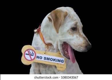 Dog No Smoking Sign In Black Isolated Background