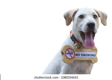 Dog No Smoking Sign In White Isolated Background