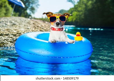 dog on  blue air mattress  in refreshing water